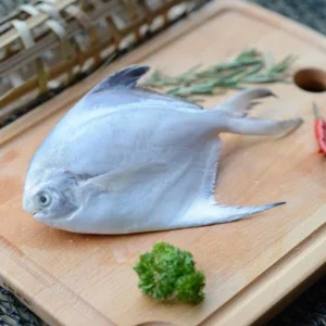 White Pomfret (తెల్ల చందువ) kg